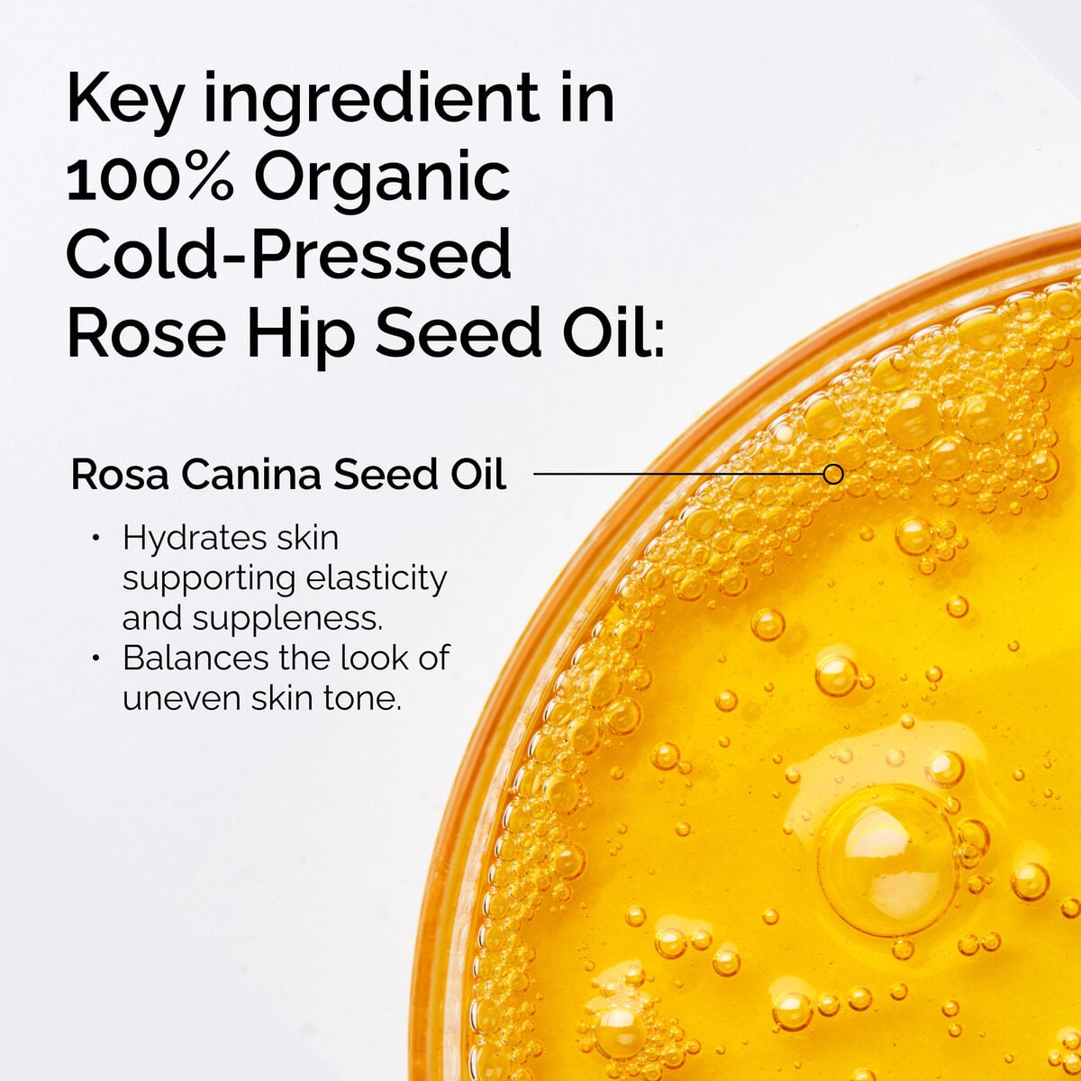 100-organic-cold-pressed-rose-hip-seed-oil-m8 FY25-D41247-ORD-Web-PDP-100-Rose-Hip-Oil-1x1-EN-2.jpg