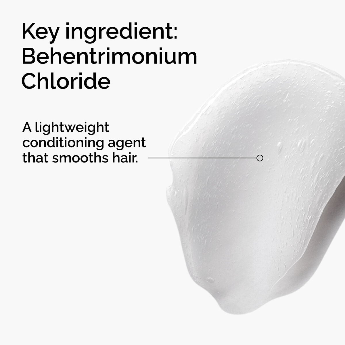 behentrimonium-chloride-2-conditioner-e5 FY25-D41247-ORD-Web-PDP-BTC-1x1-EN-2a.jpg