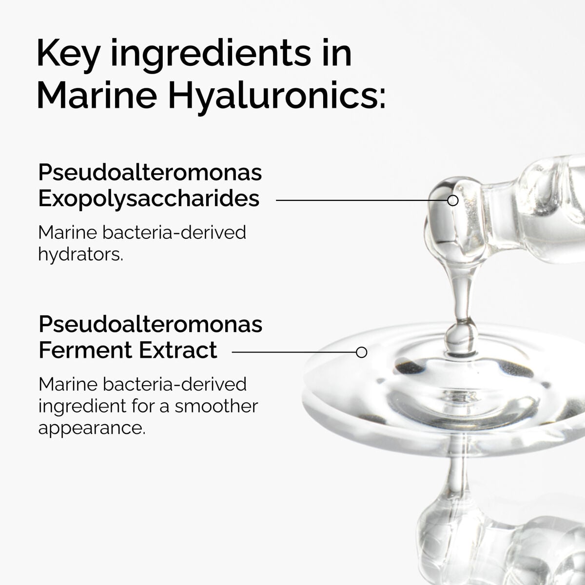 marine-hyaluronics-h0 FY25-D41247-ORD-Web-PDP-Marine-Hya-1x1-EN-2a.jpg