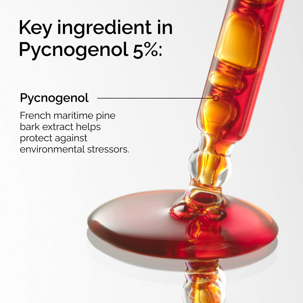 pycnogenol-5-q6 FY25-D41247-ORD-Web-PDP-Pyc-5pct-1x1-EN-2a.jpg