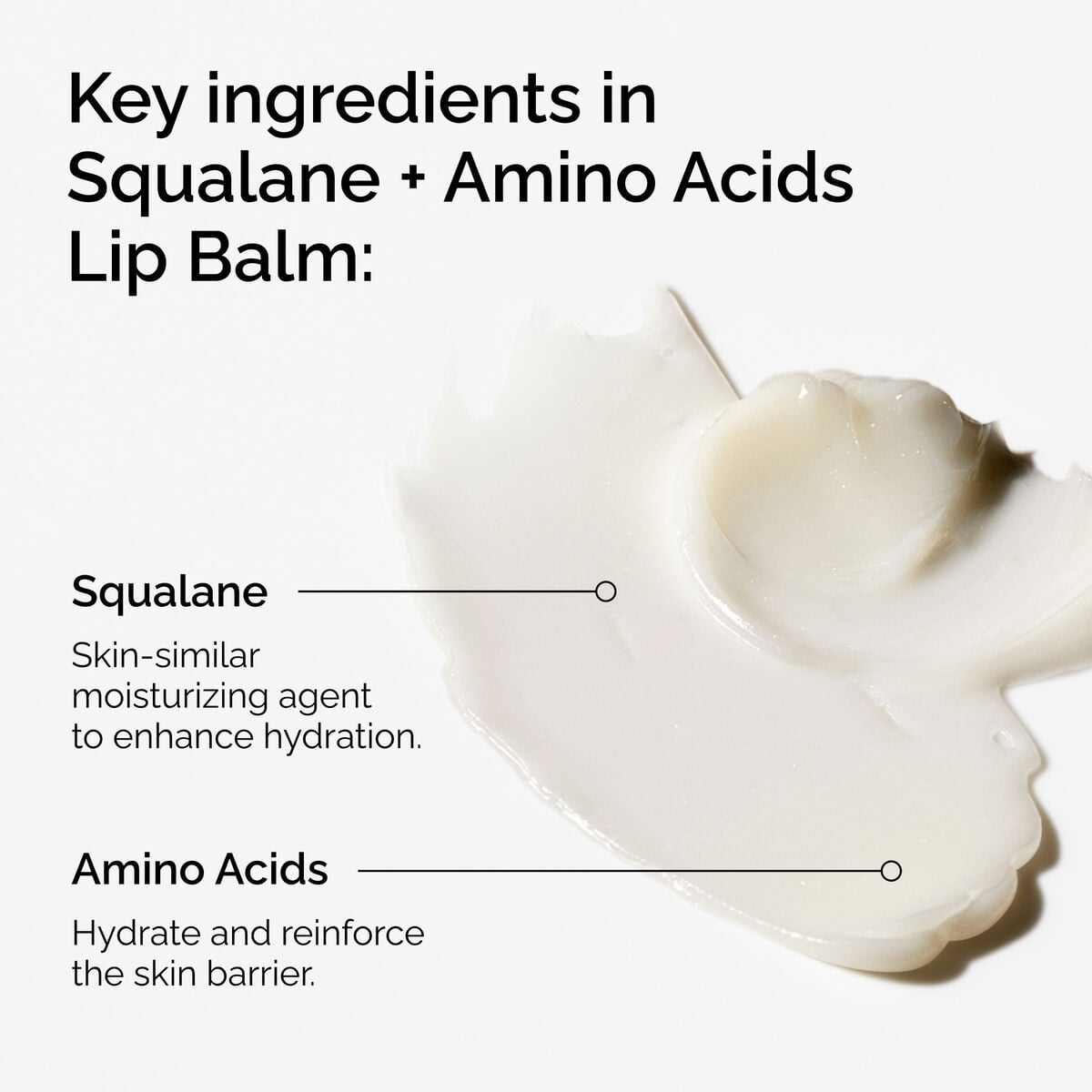 squalane-amino-acids-lip-balm-v5 FY25-D41247-ORD-Web-PDP-Sql-Amino-Lip-1x1-EN-2a.jpg
