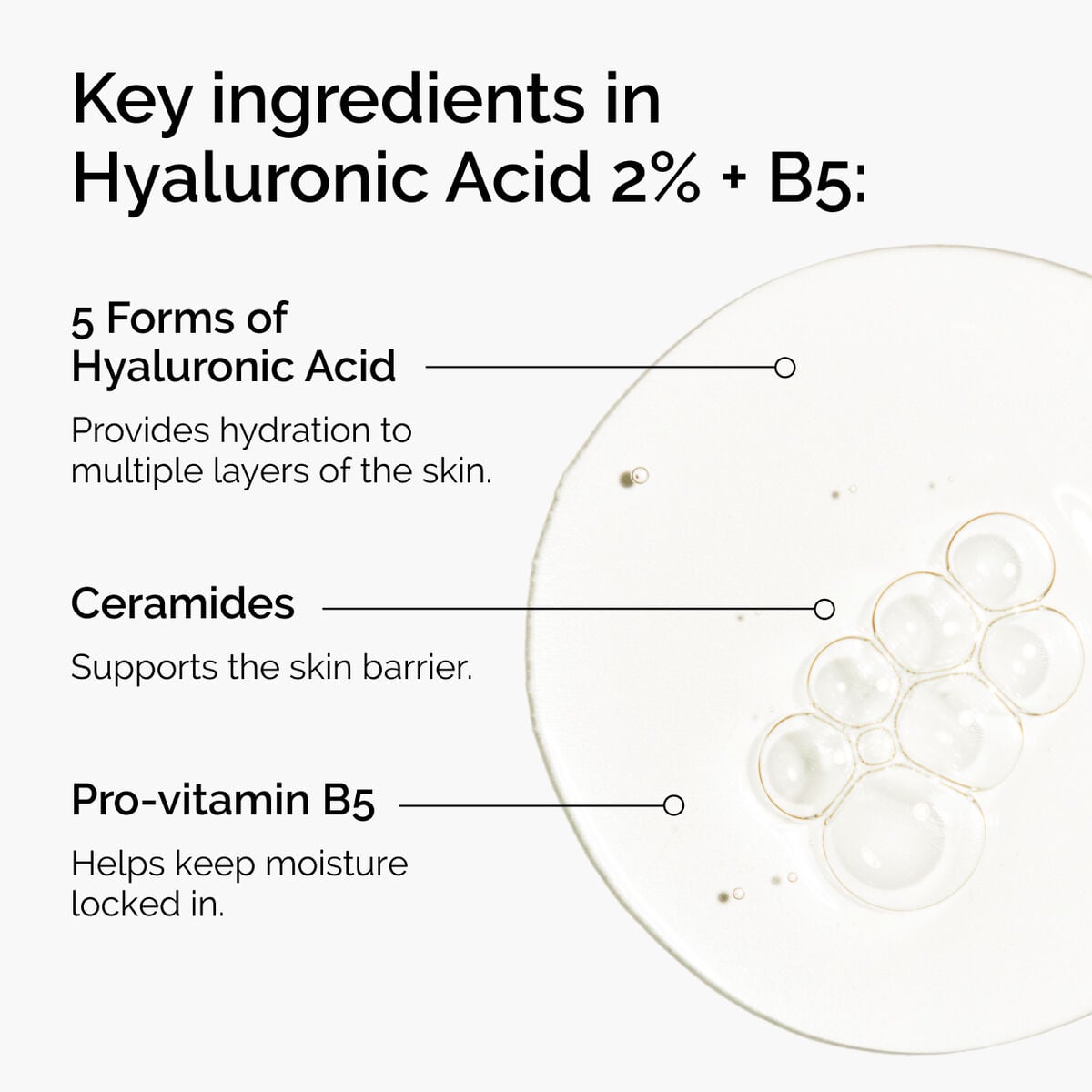 hyaluronic-acid-2-b5-with-ceramides-f5 ord-hyaluronic-acid-2pct-b5-hydrating-serum-ingredients-graphic.jpg